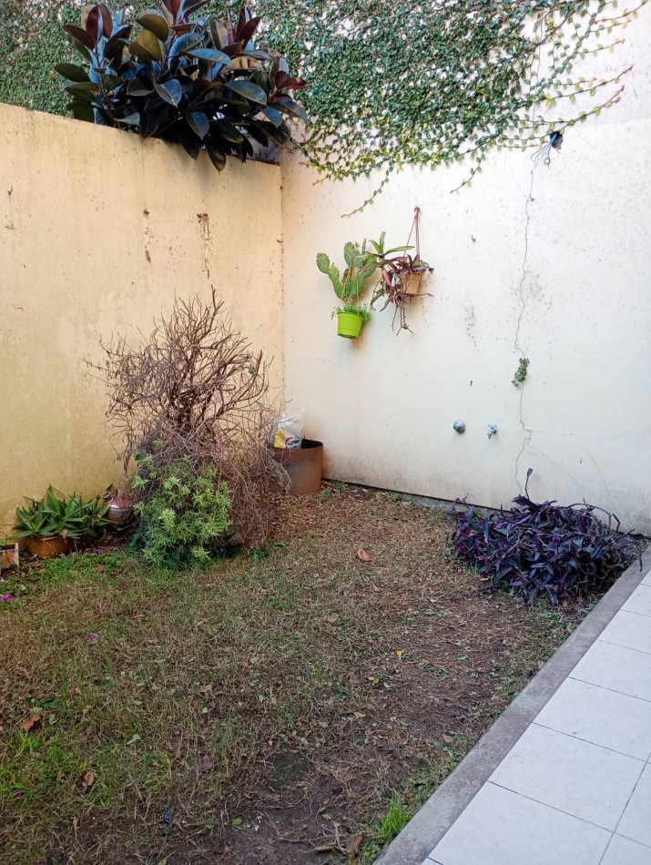 Alquiler ph de 1 dormitorio c/patio 68 e/3 y 4 