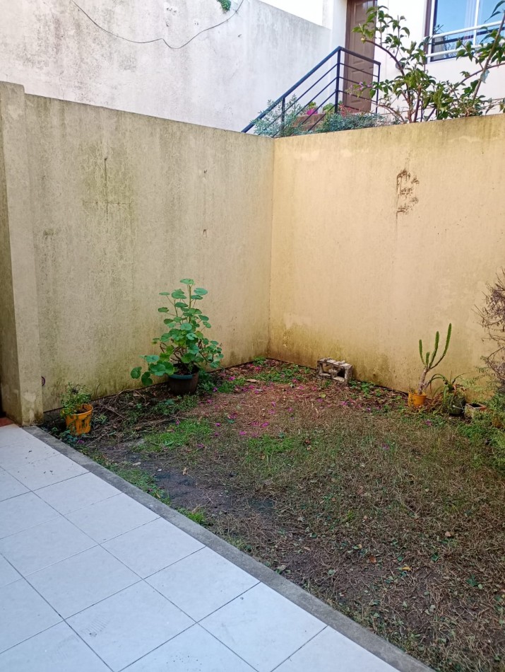 Alquiler ph de 1 dormitorio c/patio 68 e/3 y 4 