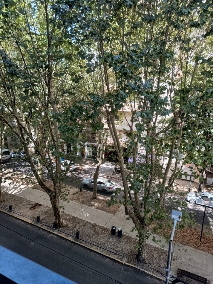 Alquiler Depto 1 dormitorio Av. 60 e/2 y 3