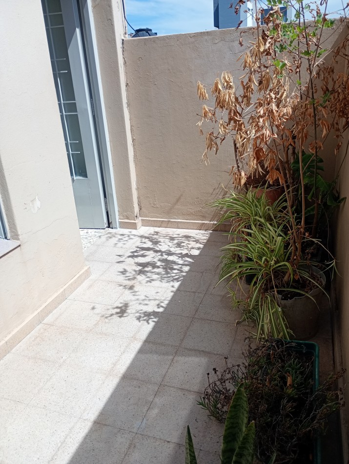 Alquiler depto 2 dormitorios 38 e/30 y 31