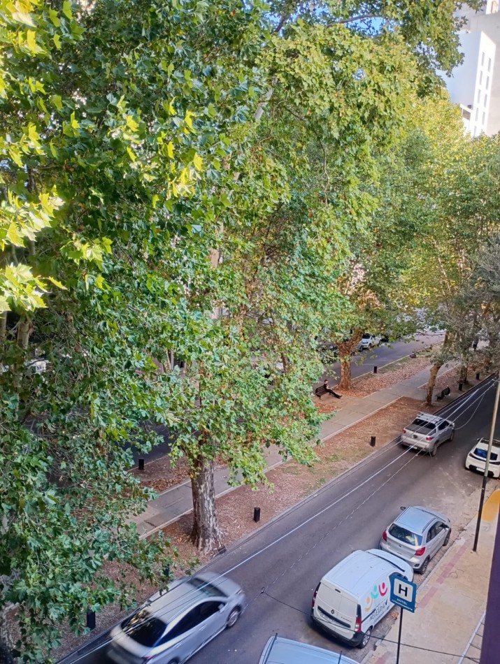 Alquiler Depto 1 dormitorio Av. 60 e/2 y 3