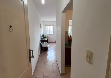 Alquiler Monoambiente 7 y 33 
